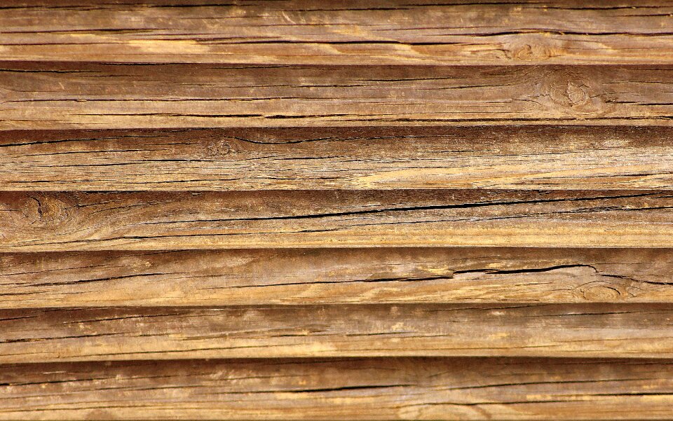 The background texture nature