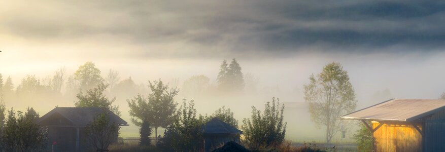 Mood fog morning mist photo