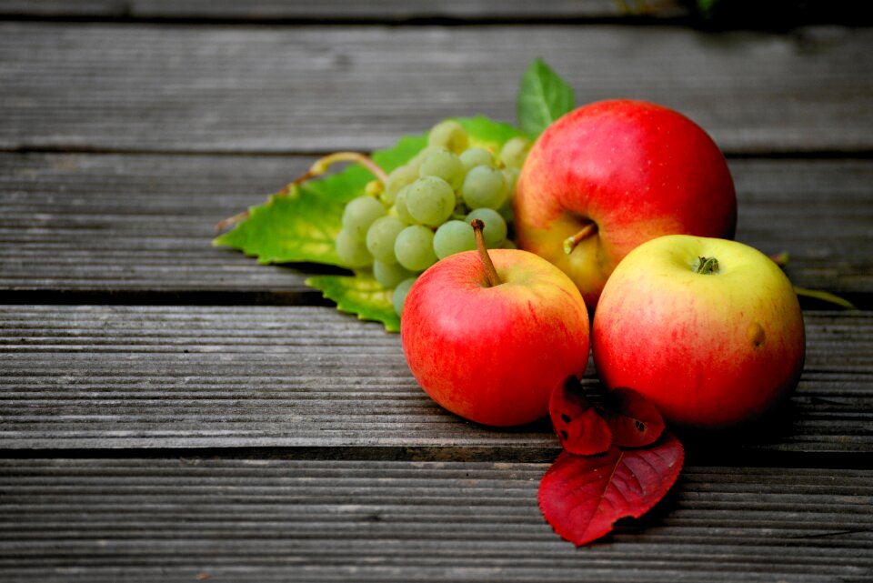 Harvest fresh autumn autumn