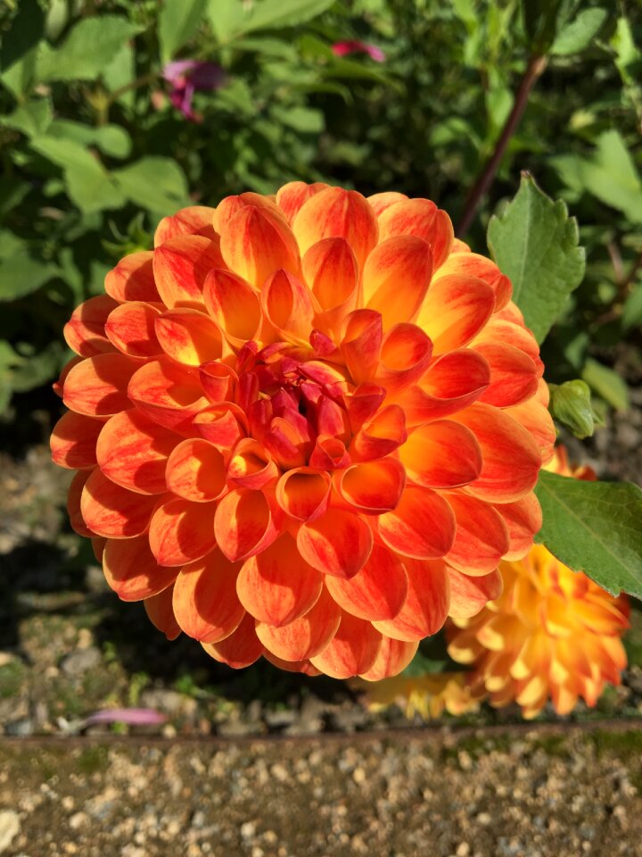 Nature garden xishan