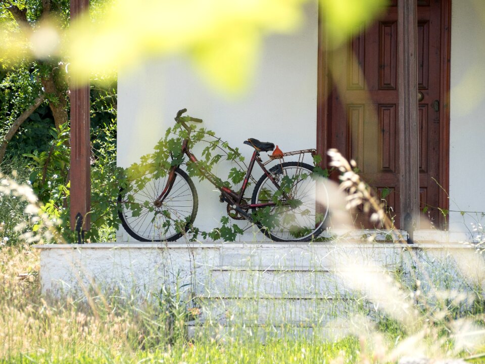 Village greece grass
