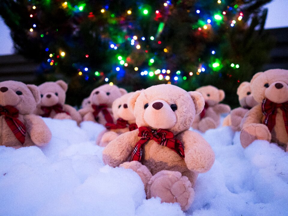 Funny swag christmas
