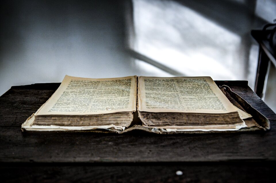 Book reading literature