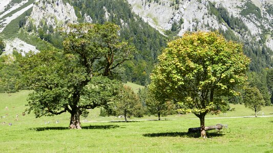 Travel nature engalm