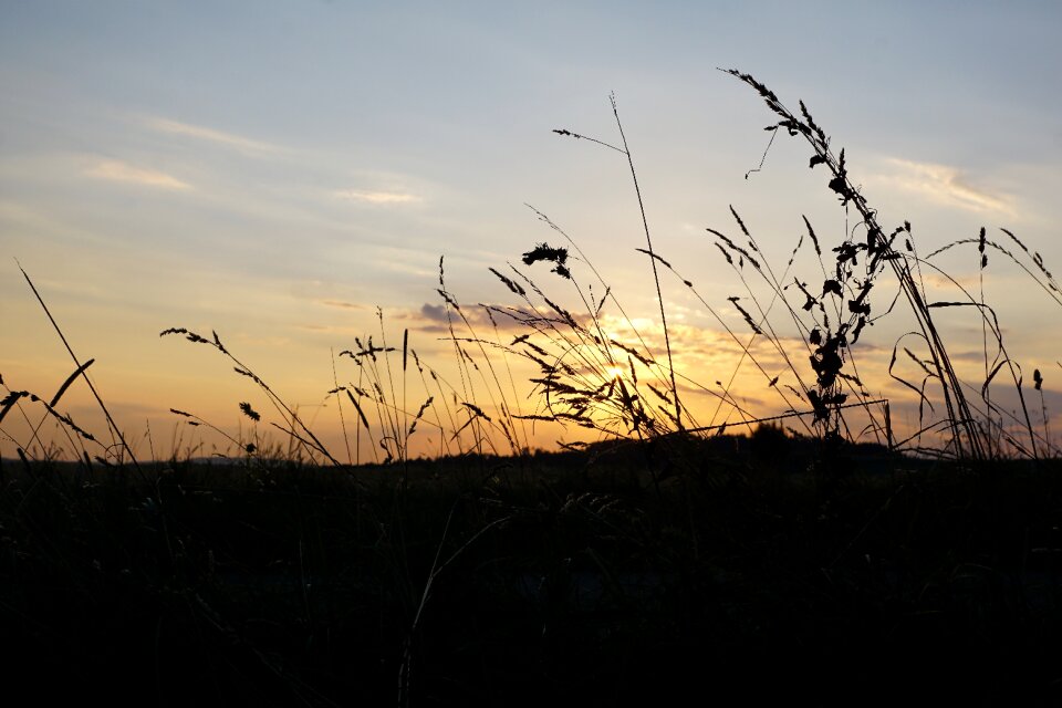 Summer hegau germany