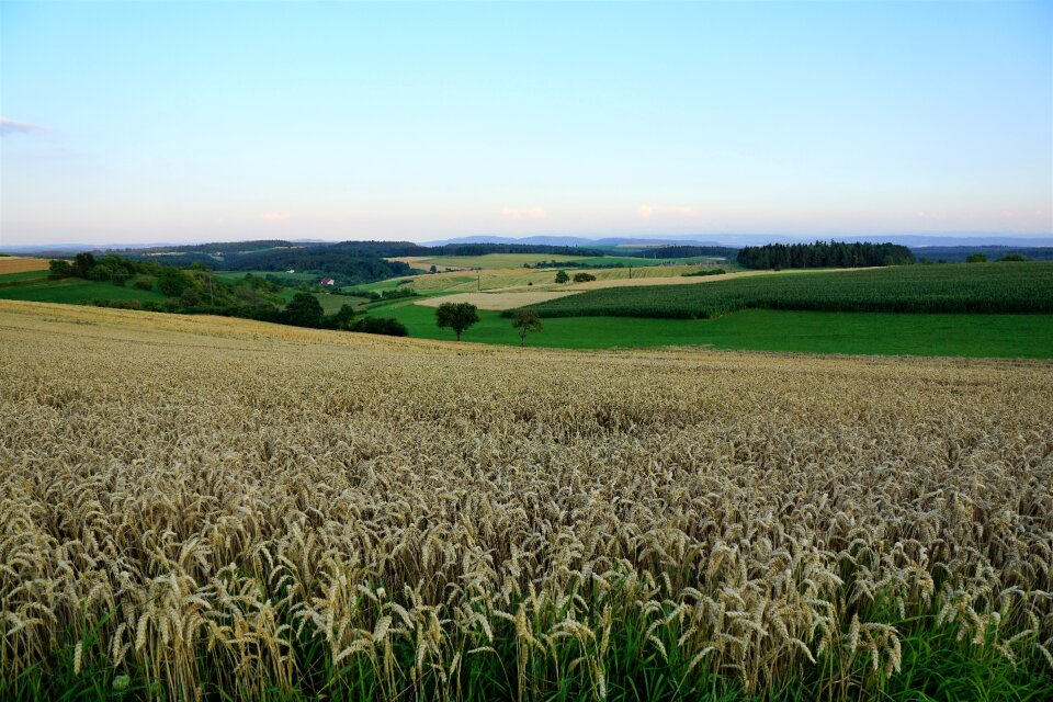 Summer hegau germany