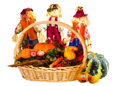 Basket pumpkin herbstdeko