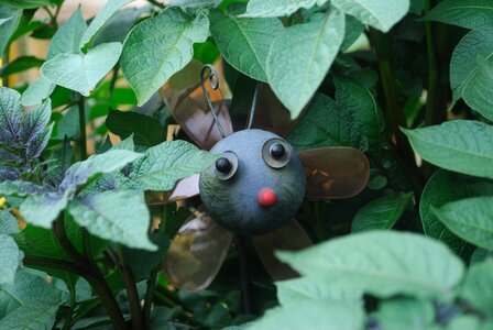 Happy cute green