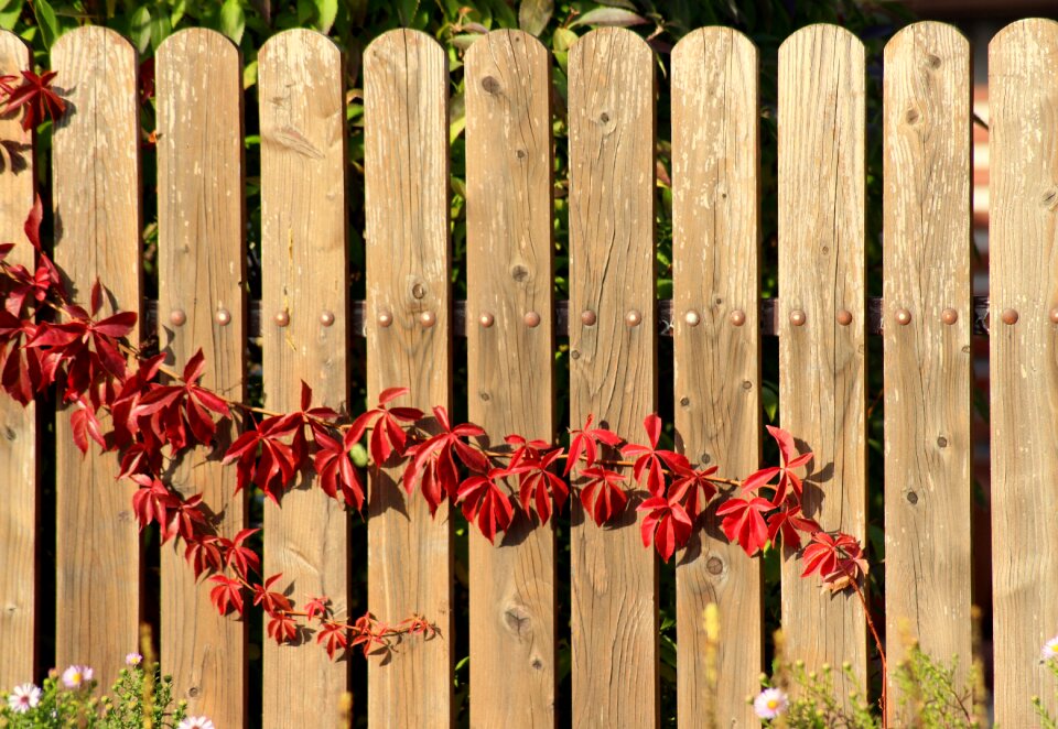 Figure fencing the fence