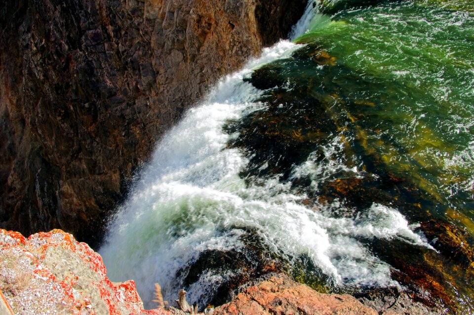 Yellowstone national park