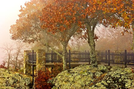 Nature landscape haze
