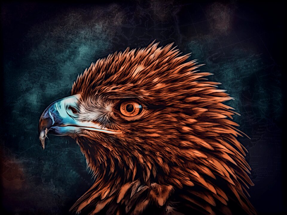 Bird of prey bird digiart