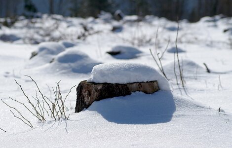 Frost snowdrifts blizzards photo