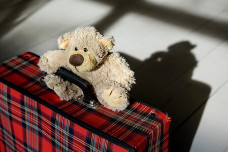 Holidays toy cute