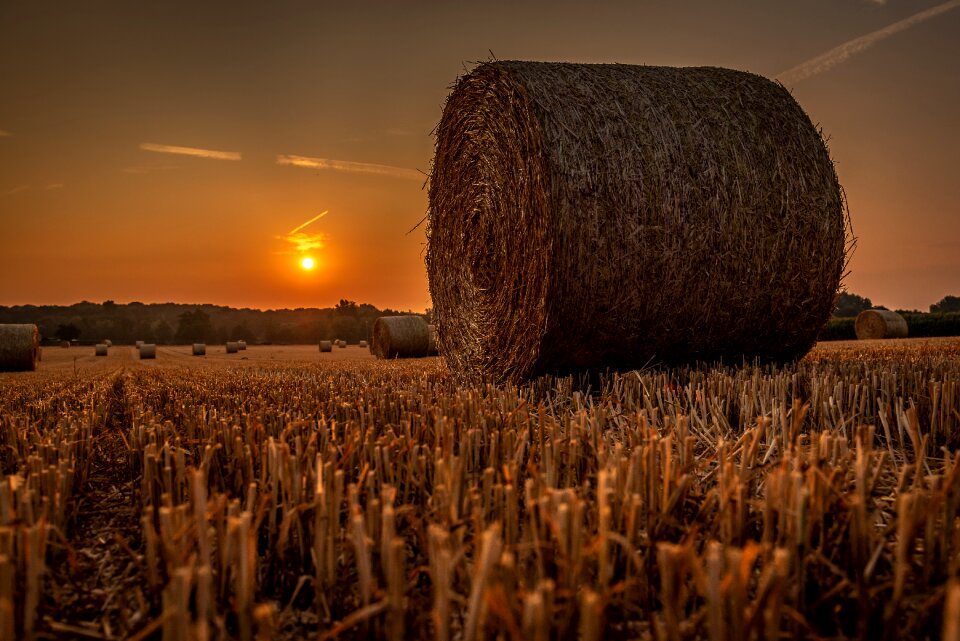 Lighting backlighting straw bales