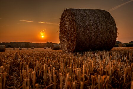 Lighting backlighting straw bales