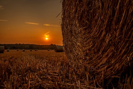 Bale straw cereals