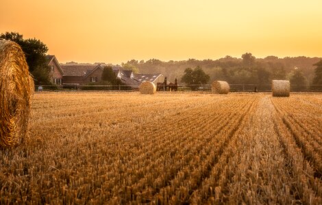 Lighting sun harvest