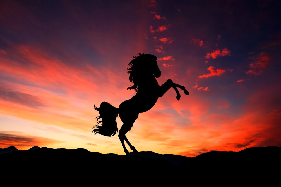 Nature stallion mane