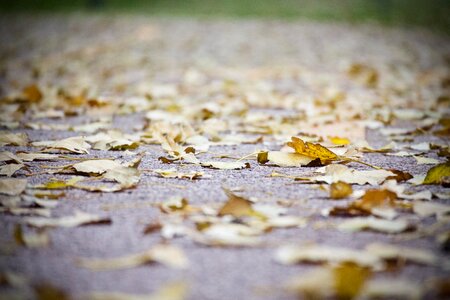 Autumn road season