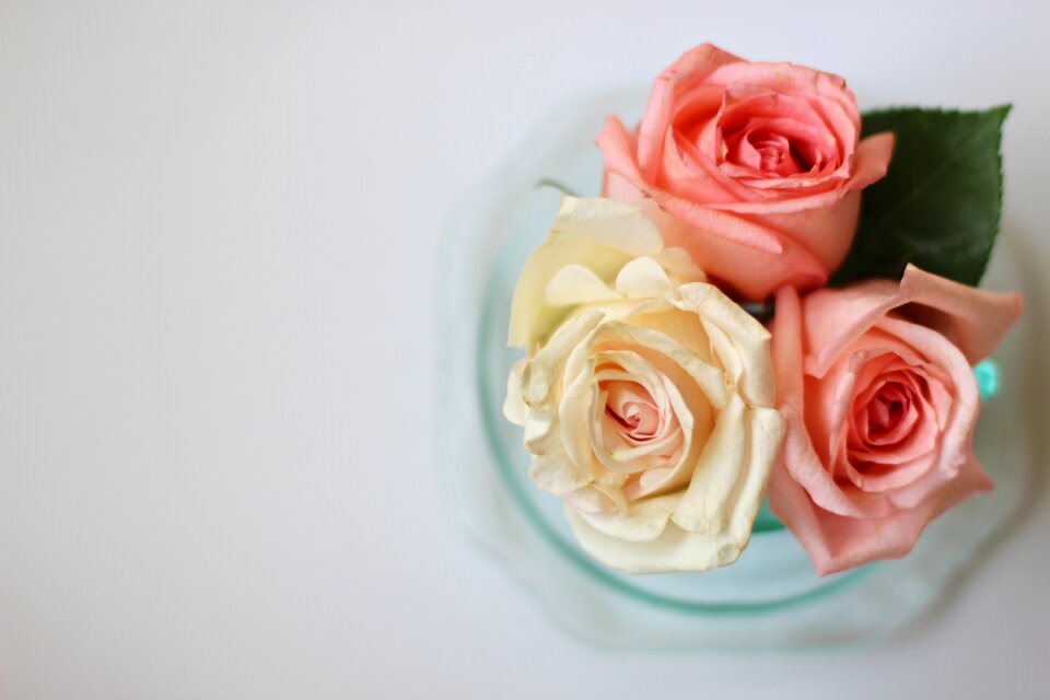 Background floral bouquet