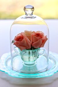 Romantic dishes floral