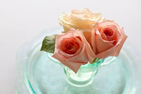 Floral bouquet dishes