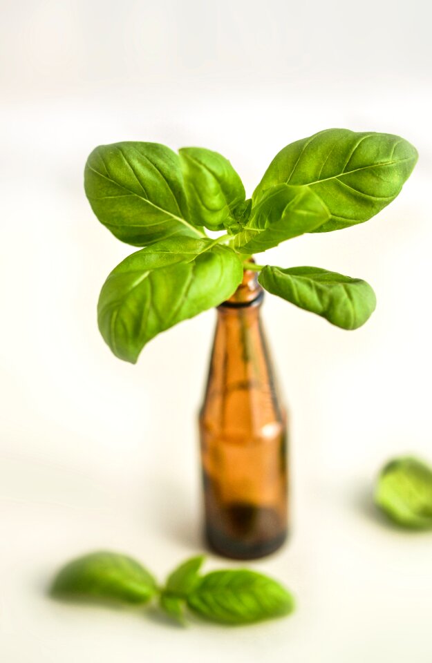 Healthy medicine aromatherapy
