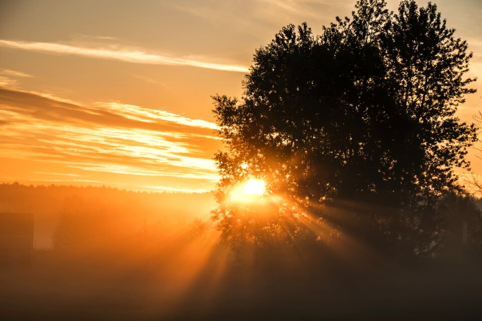 Landscape sky forests