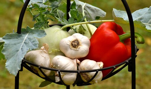Healthy food vitamins