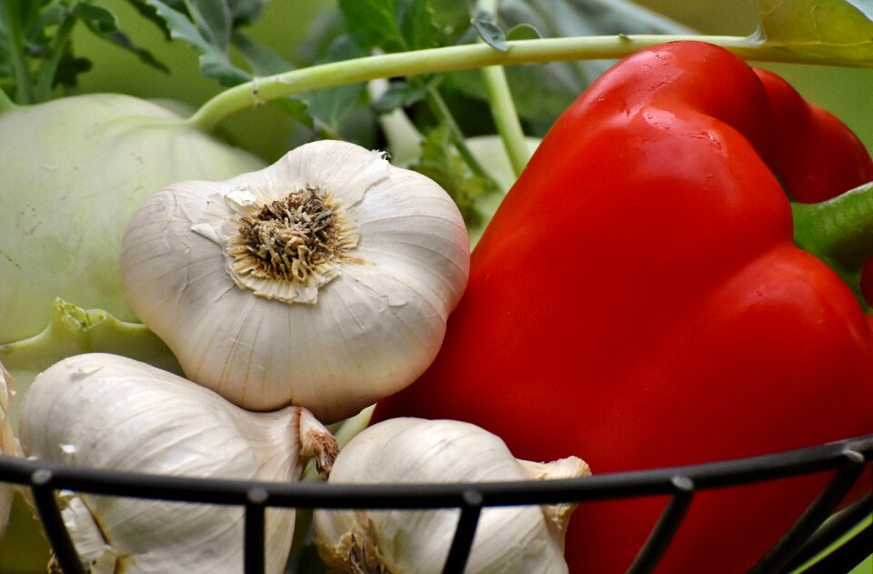 Healthy food vitamins