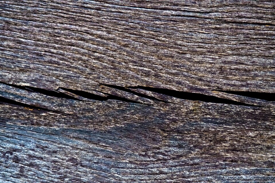 Texture brown pattern photo