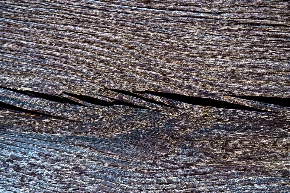 Texture brown pattern