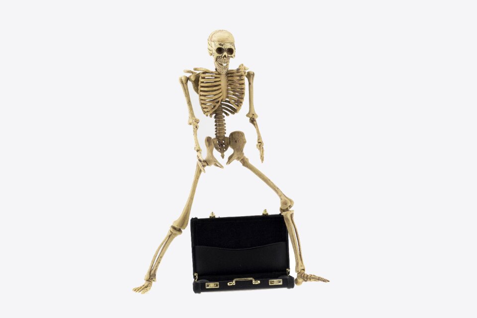 Bone business concept