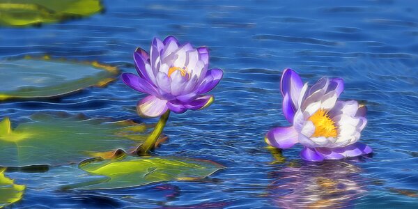 Nature pink purple