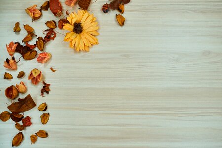Parquet wood-fibre boards table