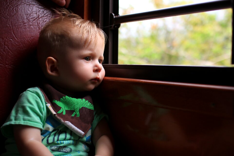 Boy window train