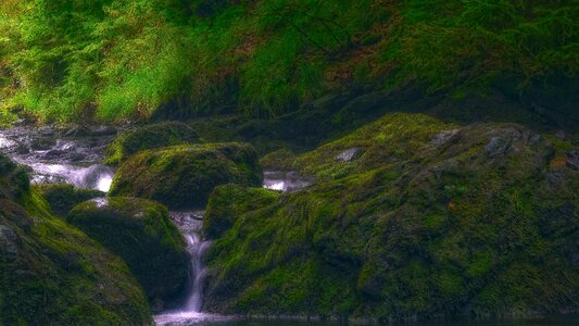 Landscape river wood
