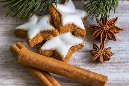 Fir tree christmas cookies cookie