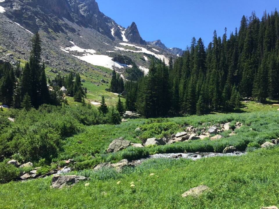 Summer scenic mountains