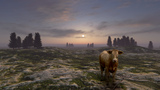 Nature rural cattle