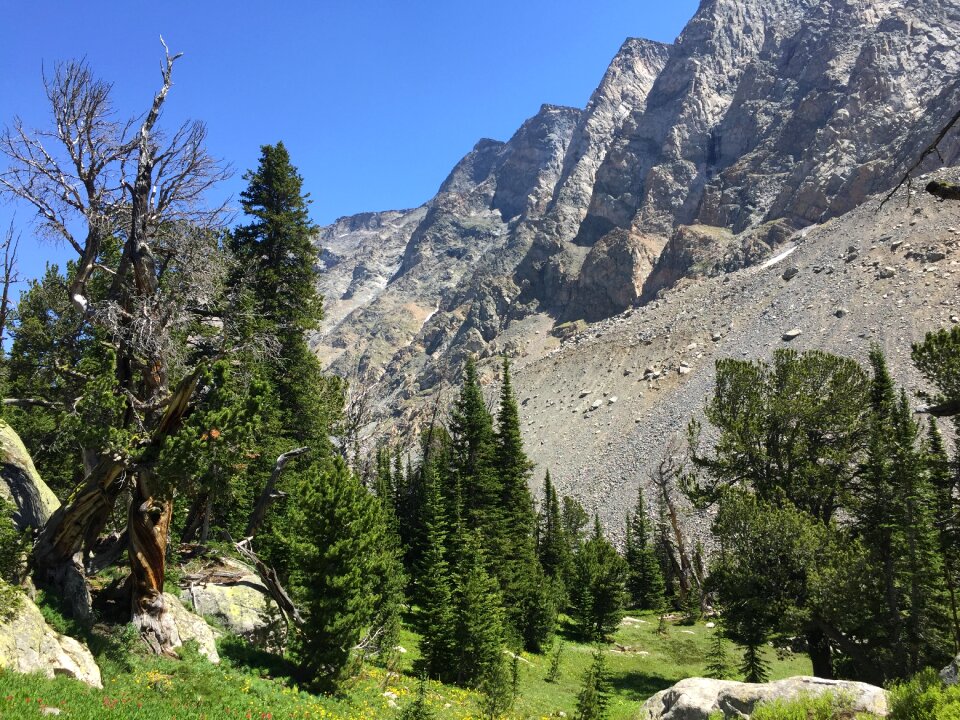 Summer scenic mountains