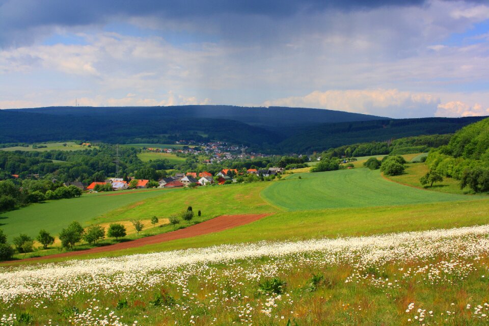 Meadows fields of flowers the high forest of the saarland