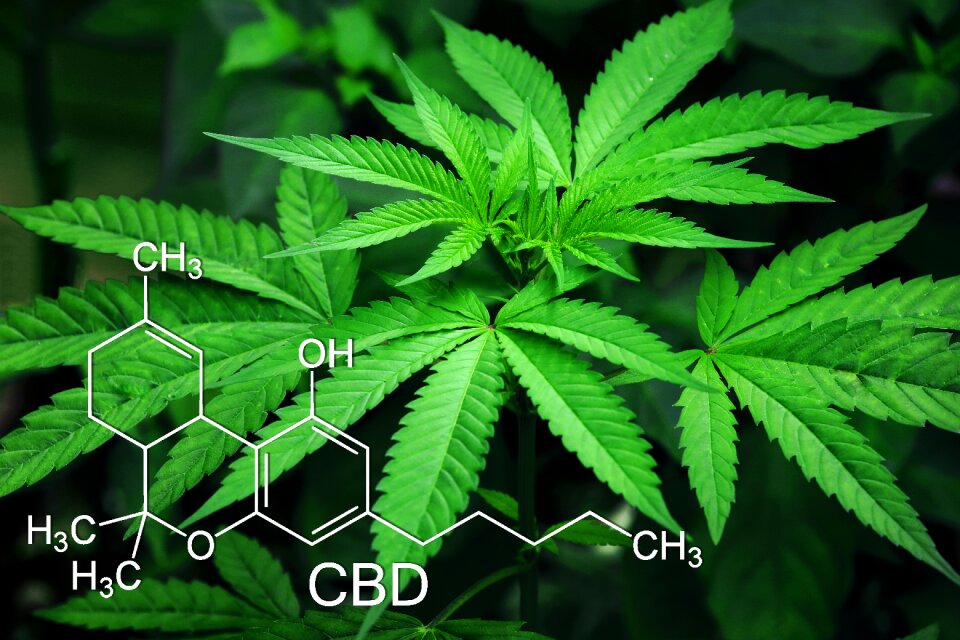 Green natural narcotic