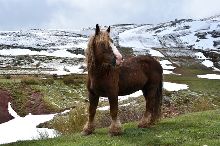 Snow nature alto campoo