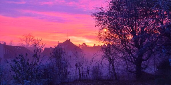 Mist winter twilight