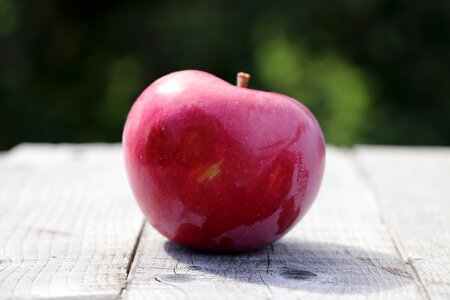 Red fruit rustic