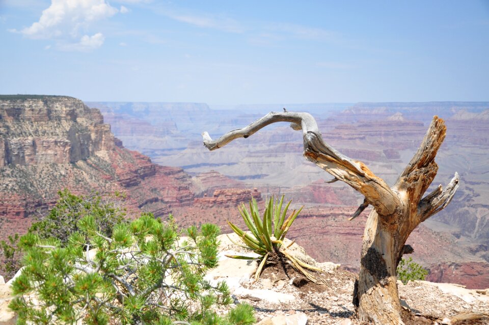 Gorge landscape usa