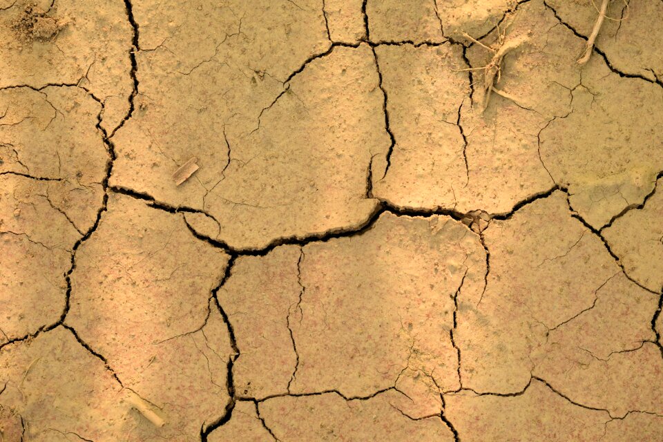 Drought close up structure