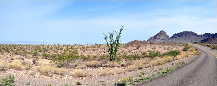 America highway desert photo